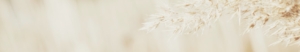 banner image of plant